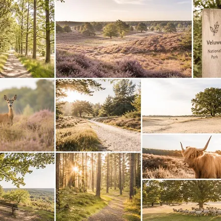 Wellness Modus - Private Sauna Otterlo